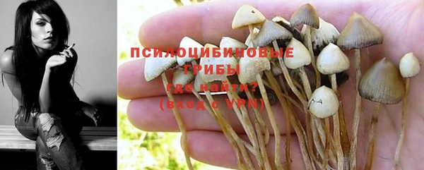стафф Абаза