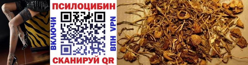 Псилоцибиновые грибы мицелий  купить наркоту  Александровск-Сахалинский 